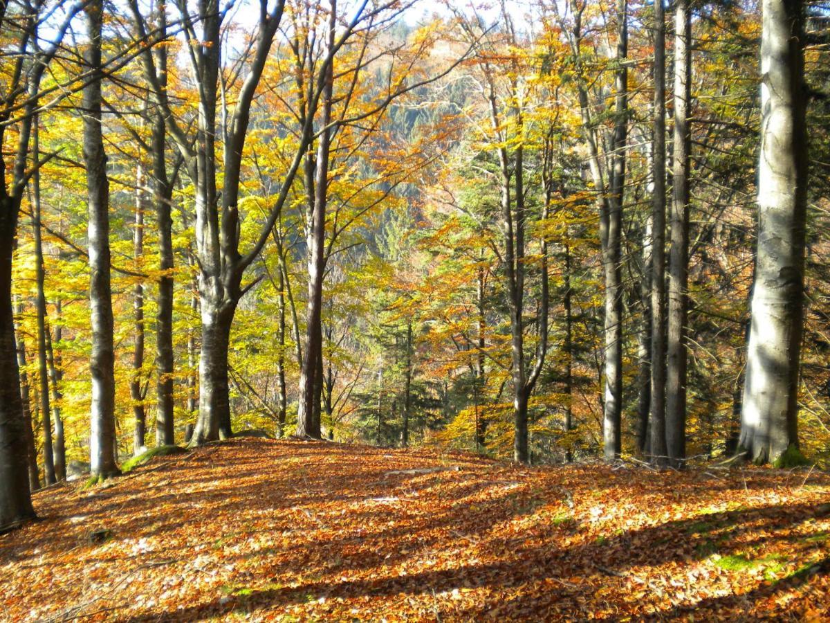 Gaestezimmer Weiss Maria Taferl Exterior foto